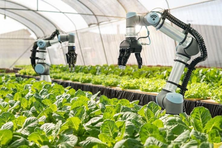 Modern greenhouse farming